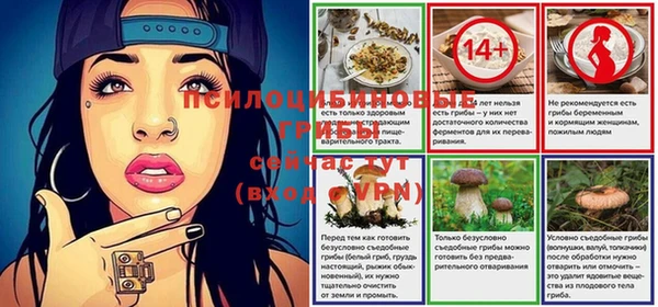 хмурый Железногорск-Илимский