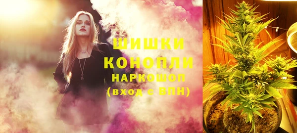 PSILOCYBIN Жердевка