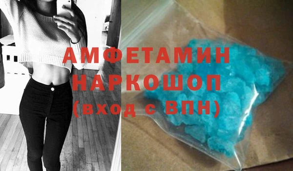 PSILOCYBIN Жердевка