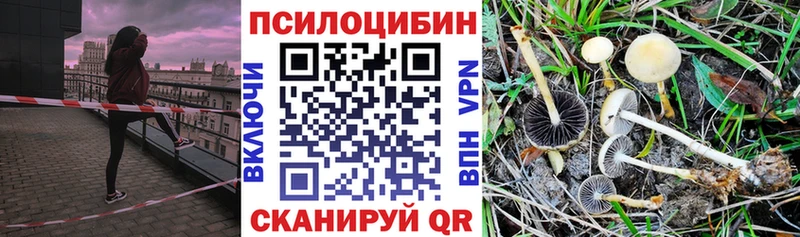 Галлюциногенные грибы Magic Shrooms гидра Кондопога